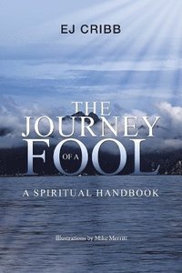 bokomslag The Journey of a Fool