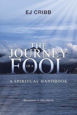 bokomslag Journey of a Fool