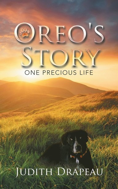 bokomslag Oreo's Story