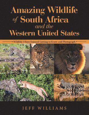 Amazing Wildlife of South Africa and the Western United States 1