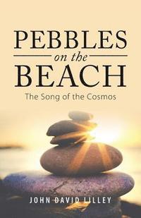 bokomslag Pebbles on the Beach