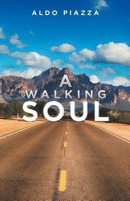 bokomslag Walking Soul