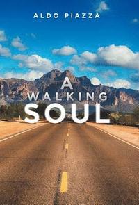 bokomslag Walking Soul