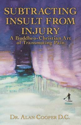 Alan Cooper - Subtracting Insult from Injury, Häftad