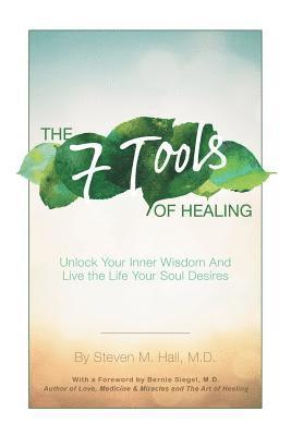 bokomslag Seven Tools of Healing