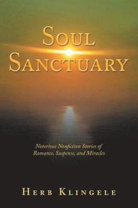 bokomslag Soul Sanctuary