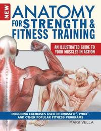 bokomslag Anatomy for Strength and Fitness Training