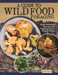 bokomslag A Guide to Wild Food Foraging