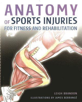 bokomslag Anatomy of Sports Injuries