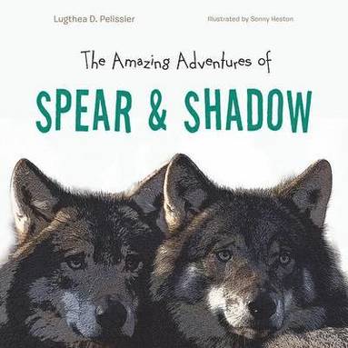 bokomslag Amazing Adventures of Spear & Shadow
