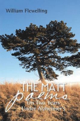bokomslag Matt Poems