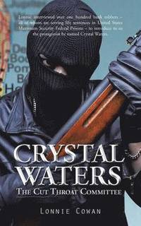 bokomslag Crystal Waters