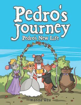 bokomslag Pedro's Journey