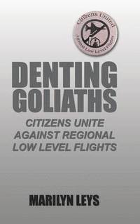 bokomslag Denting Goliaths