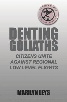 bokomslag Denting Goliaths