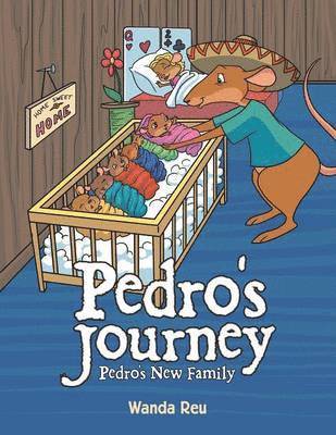 bokomslag Pedro's Journey