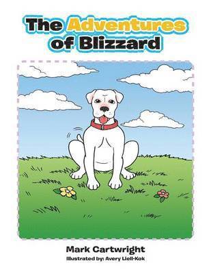 Adventures of Blizzard