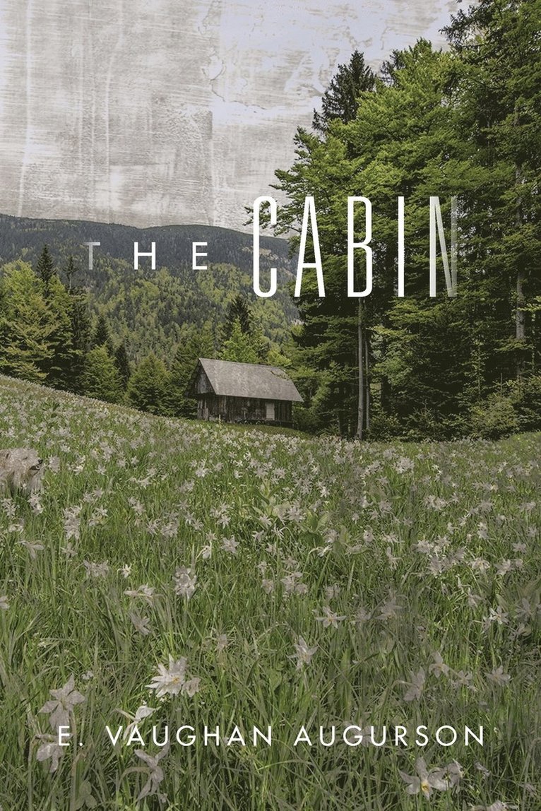 The Cabin 1