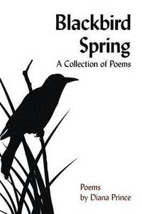 bokomslag Blackbird Spring