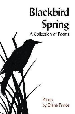 Blackbird Spring 1