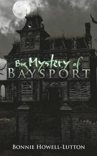 bokomslag Big Mystery of Baysport