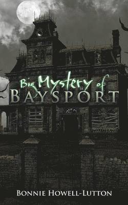 Big Mystery of Baysport 1