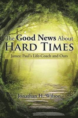 Jonathan H Wilson, Jonathan H. Wilson - Good News About Hard Times, Häftad