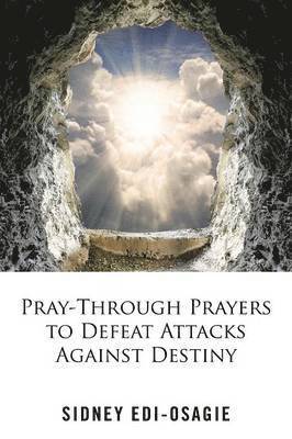 bokomslag Pray-Through Prayers to Defeat Attacks Against Destiny