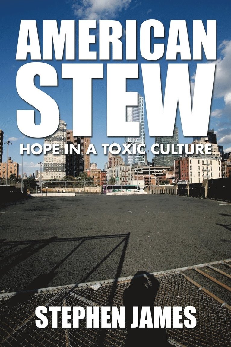 Stephen James - American Stew, Häftad