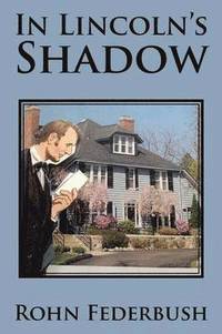 bokomslag In Lincoln's Shadow