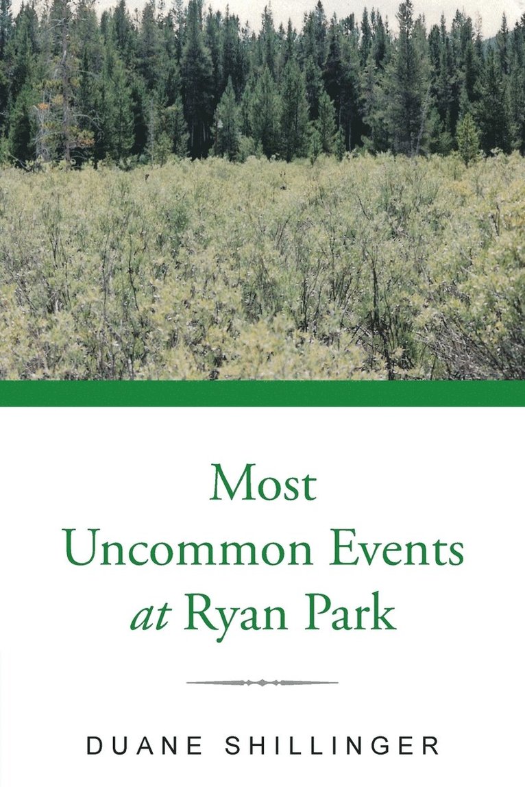 Duane Shillinger - Most Uncommon Events at Ryan Park, Häftad