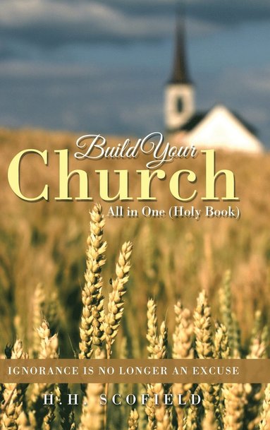 bokomslag Build Your Church