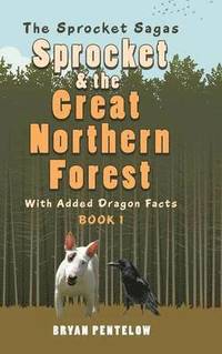bokomslag Sprocket & the Great Northern Forest