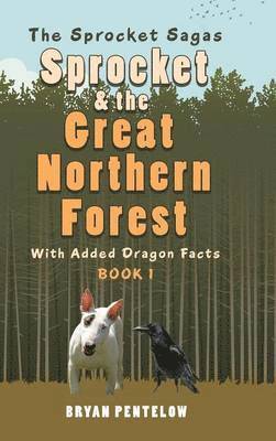 Sprocket & the Great Northern Forest 1