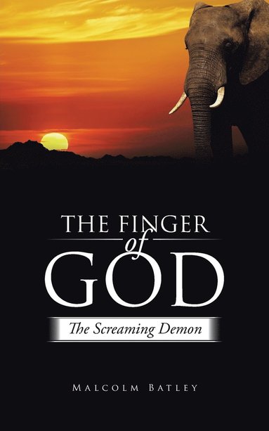 bokomslag The Finger of God