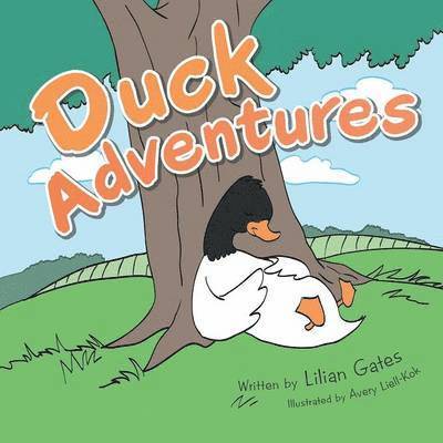 Duck Adventures 1