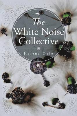 The White Noise Collective 1