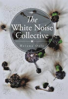 The White Noise Collective 1