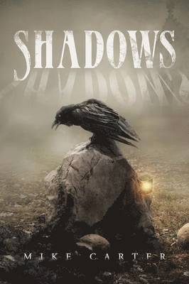 bokomslag Shadows