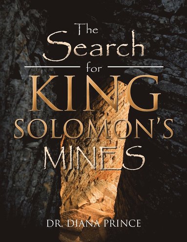 bokomslag The Search for King Solomon's Mines