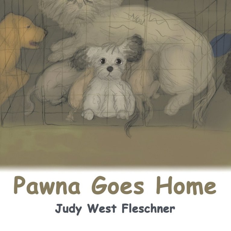 Judy West Fleschner - Pawna Goes Home, Häftad