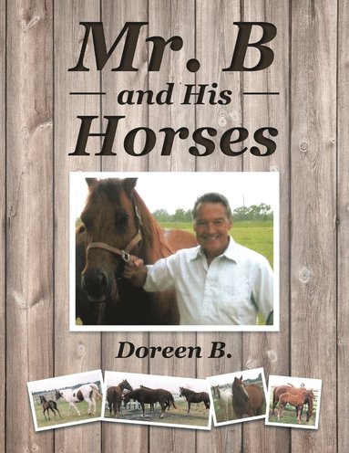 bokomslag Mr. B and His Horses