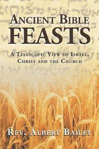 bokomslag Ancient Bible Feasts