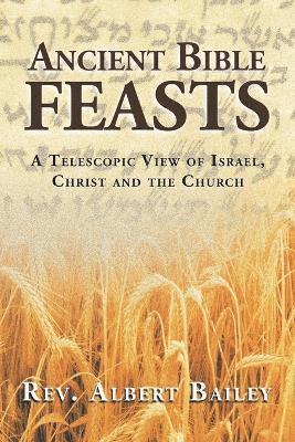 bokomslag Ancient Bible Feasts