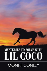 bokomslag Mysteries to Solve with Lil Coco