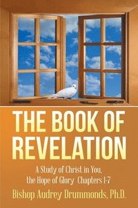 bokomslag Book of Revelation