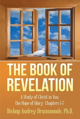 bokomslag Book of Revelation