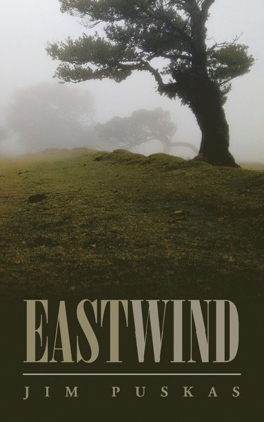 bokomslag Eastwind