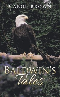 bokomslag Baldwin's Tales