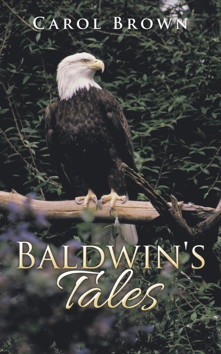 Baldwin's Tales 1